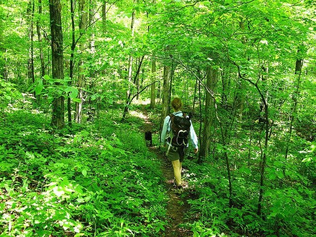 Eureka Springs hiking