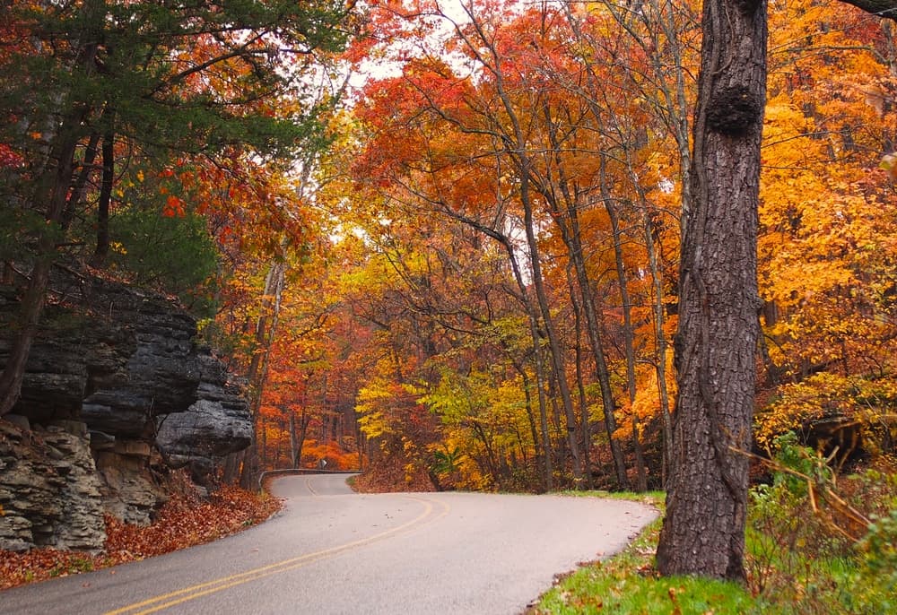 Enjoy a scenic drive through Eureka Springs fall foliage near our Bed and Breakfast