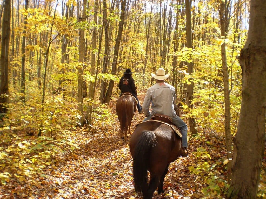 Two people ride horses along a leaf-covered path surrounded by autumn foliage.