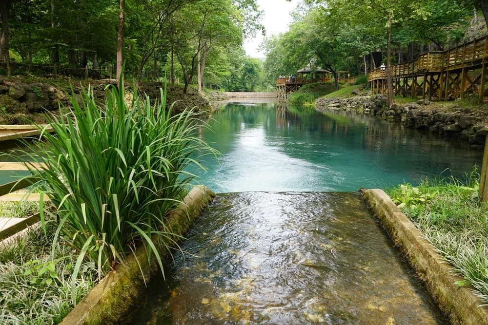 A serene stream flows into a clear turquoise river, surrounded by lush greenery and wooden pathways.