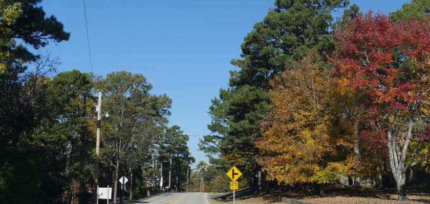 A scenic road lined with trees displaying autumn foliage under a clear blue sky.
