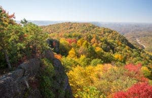 A panoramic view of rolling hills covered in vibrant autumn foliage under a clear blue sky.