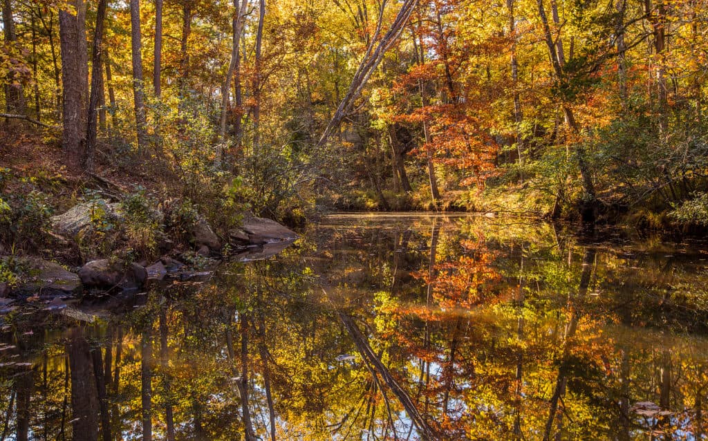 A serene autumn scene featuring trees with colorful foliage reflected in a calm river.