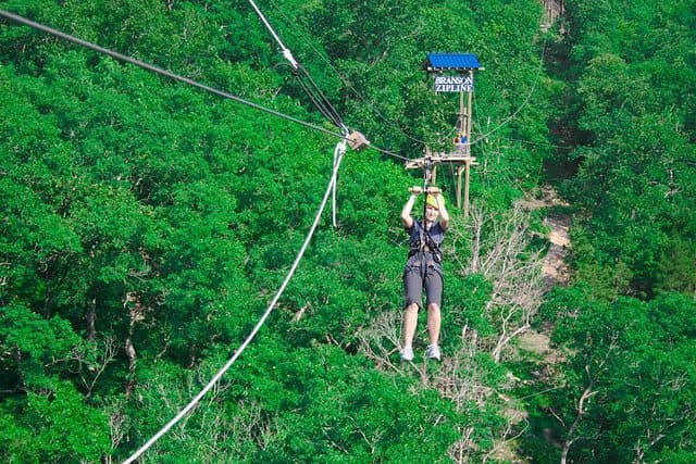 A person ziplining through a dense forest.