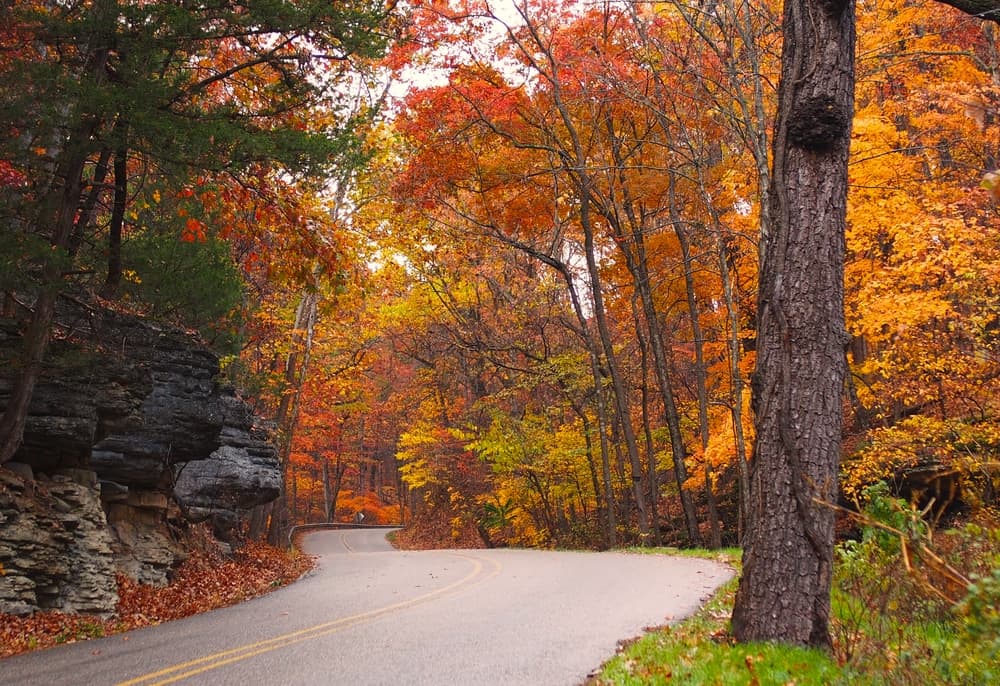 A winding road through vibrant autumn foliage.
