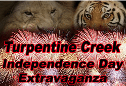 Image featuring a lion and tiger background with fireworks and text promoting the "Turpentine Creek Independence Day Extravaganza."