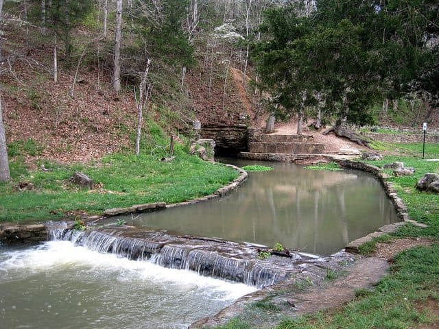 A tranquil stream flows over rocks, surrounded by greenery and trees.