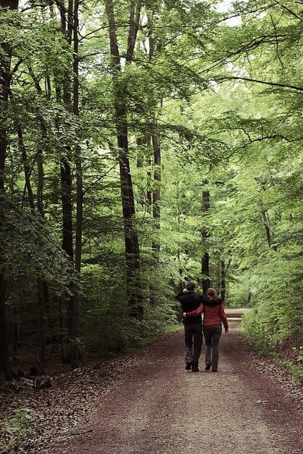 A couple walks hand in hand down a secluded, tree-lined path.