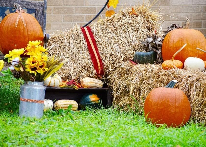 fall festival decor outdoors including a tin vase of sunflowers pumpkins and squash on small square bales of hay sitting on the grass fall festival decor outdoors including a tin vase of sunflowers pumpkins and squash on small square bales of hay sitting on the grass