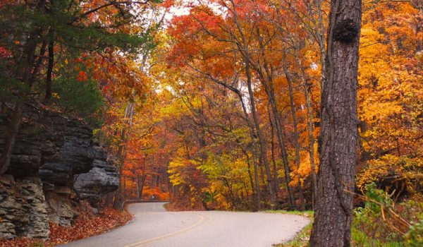 Enjoy a scenic drive through Eureka Springs fall foliage near our Bed and Breakfast