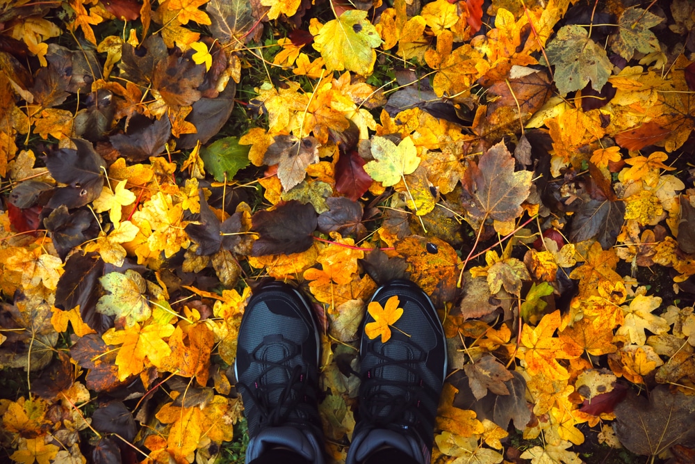 Feet in coloful foliage while hiking near Eureka Springs this fall